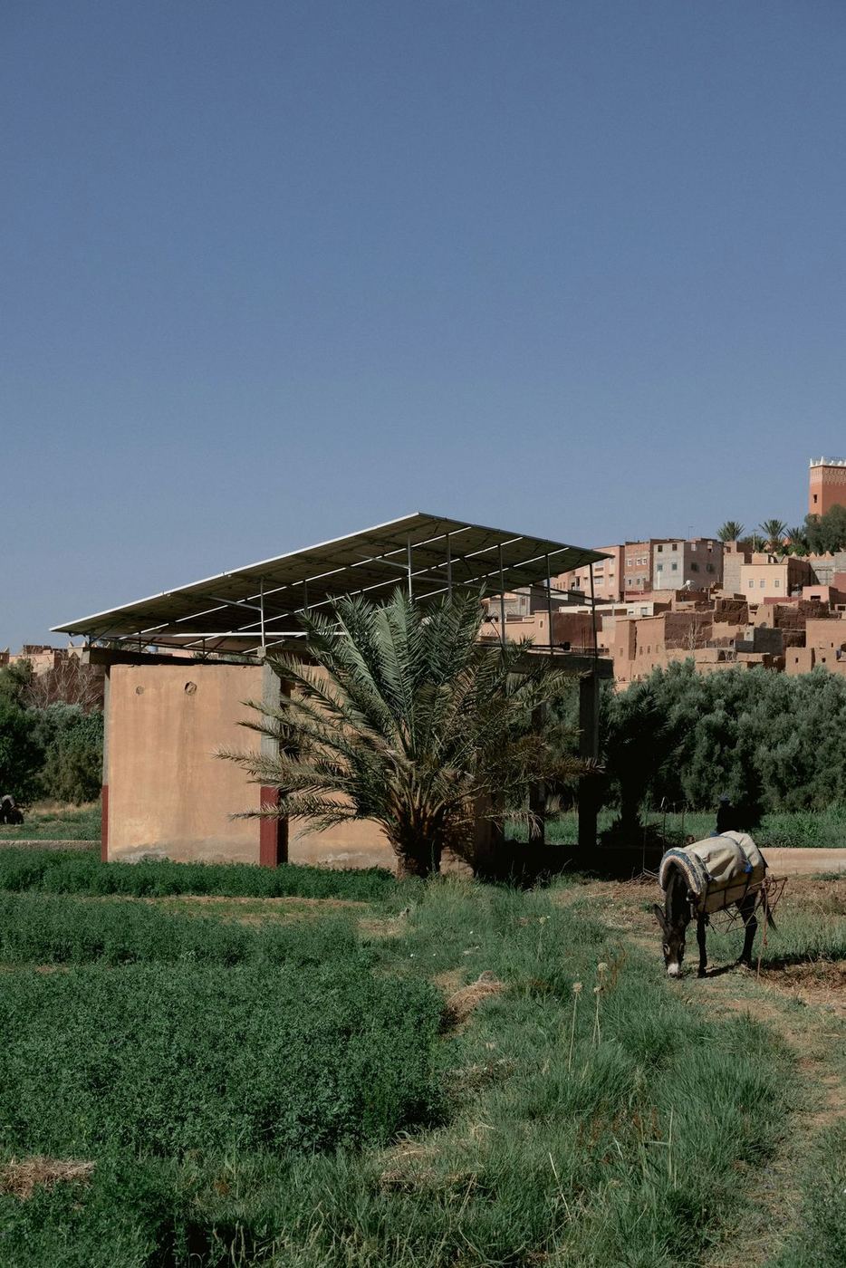 Solar array powering a building in a rural area